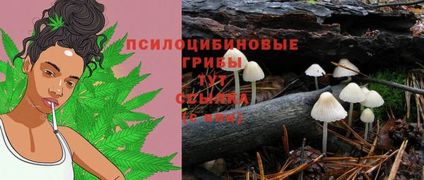 метадон Алзамай
