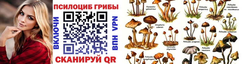 мега   Гдов  Псилоцибиновые грибы Psilocybine cubensis 
